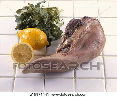 Smoked Tongue View Large Photo Image Stock Image - Smoked Tongue. Fotosearch