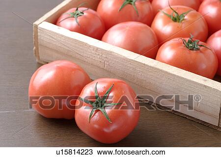 Tomato View Large Photo Image Stock Image - Tomato. Fotosearch