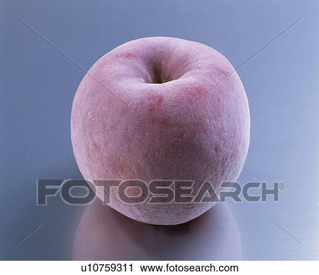 Apple, Freezing, View Large Photo Image Stock Image - Apple, Freezing,. Fotosearch