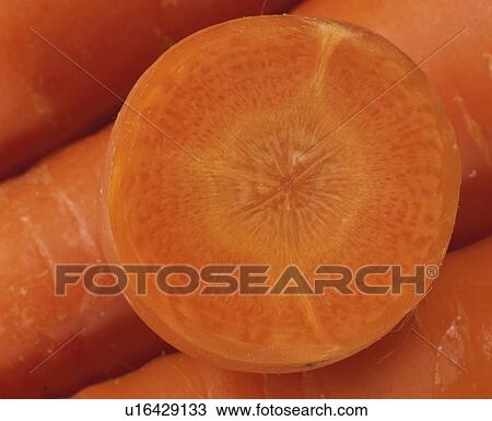 Stock Image - Carrot. Fotosearch