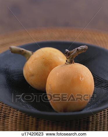 Stock Image - Loquat. Fotosearch