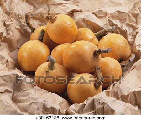 Loquat View Large Photo Image Stock Photo - Loquat. Fotosearch