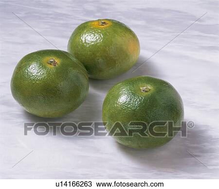 Mandarin Orange View Large Photo Image Stock Image - Mandarin Orange. Fotosearch
