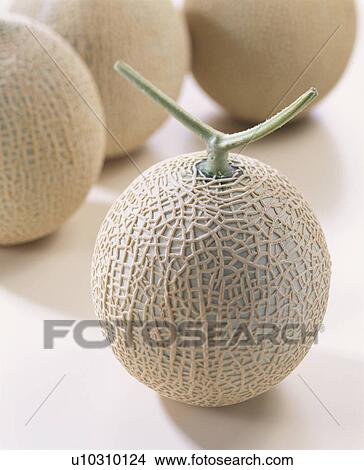 Picture - Muskmelon. Fotosearch