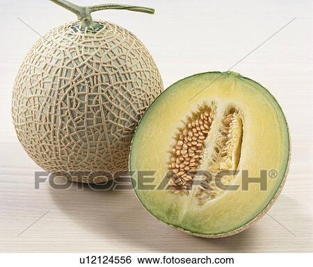 Muskmelon View Large Photo Image Stock Photograph - Muskmelon. Fotosearch