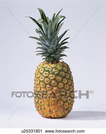 Pineapple View Large Photo Image Stock Image - Pineapple. Fotosearch