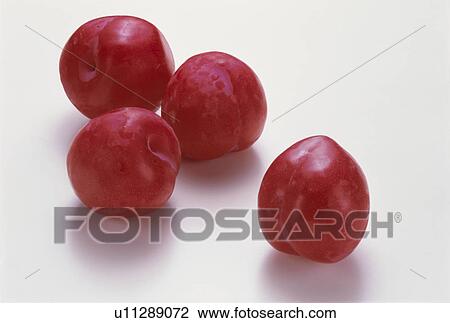 Stock Image - Plum. Fotosearch