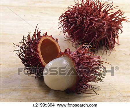Rambutan View Large Photo Image Picture - Rambutan. Fotosearch