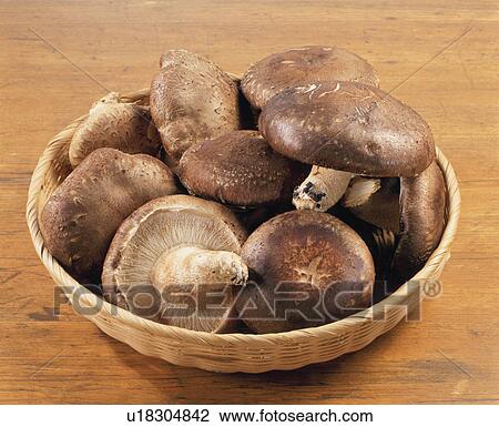 Stock Image - Shiitake Mushroom / Maitake Mushrooms. Fotosearch