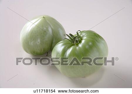 Picture - Tomato, White Beauty. Fotosearch