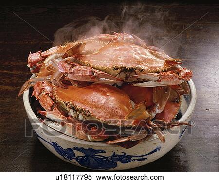 Swimming Crab View Large Photo Image Stock Photography - Swimming Crab. Fotosearch