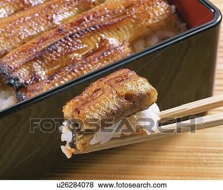 Broiled Eels On Rice View Large Photo Image Stock Photo - Broiled Eels On Rice. Fotosearch