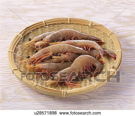 Fleshy Prawn, White, View Large Photo Image Stock Photo - Fleshy Prawn, White,. Fotosearch