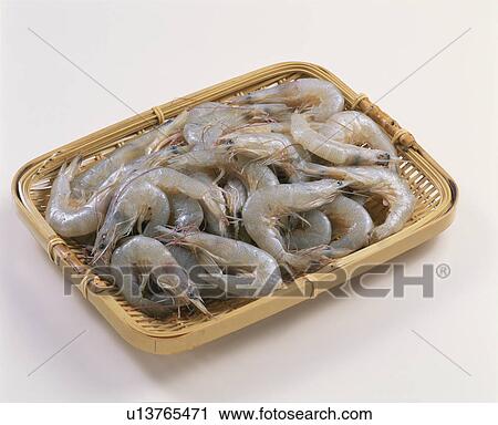 Shrimp View Large Photo Image Stock Image - Shrimp. Fotosearch