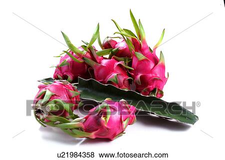 Dragon Fruit View Large Photo Image Stock Photo - Dragon Fruit. Fotosearch