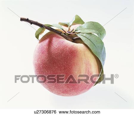 Stock Photograph - Peach, Kawanakajima Hakuho,. Fotosearch