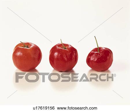 Acerola View Large Photo Image Stock Photograph - Acerola. Fotosearch