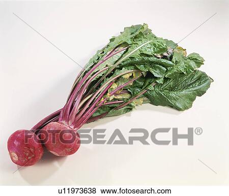 Stock Photo - Beet. Fotosearch