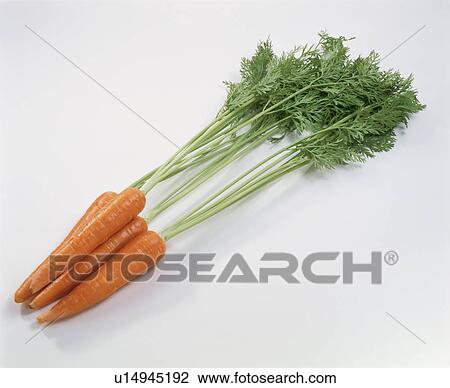 Carrot View Large Photo Image Stock Image - Carrot. Fotosearch