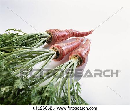 Kyoto Style Carrot View Large Photo Image Stock Photography - Kyoto Style Carrot. Fotosearch