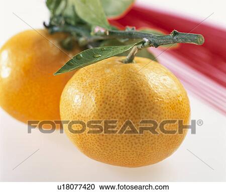 Stock Image - Mandarin Orange. Fotosearch