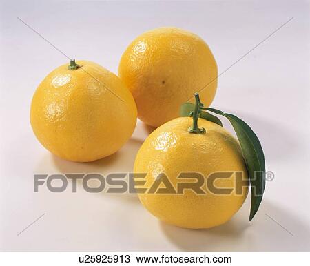 Stock Image - New Summer Orange. Fotosearch