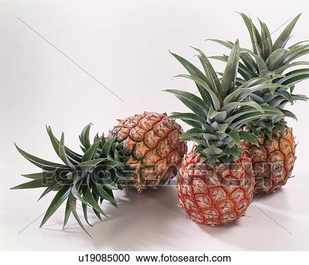 Pineapple View Large Photo Image Stock Image - Pineapple. Fotosearch