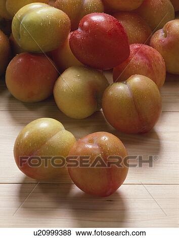 Stock Photo - Plum. Fotosearch