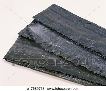 Stock Image - Sea Tangle, Rishiri,. Fotosearch