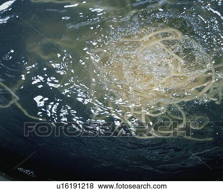 Stock Photo - Ramen Noodles. Fotosearch