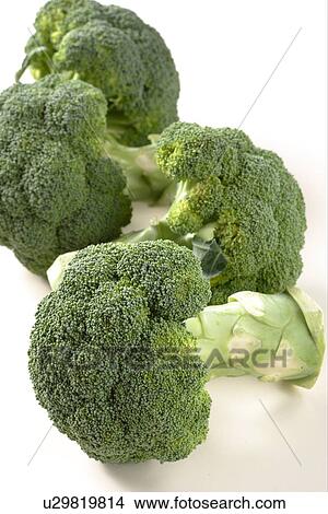 Broccoli View Large Photo Image Picture - Broccoli. Fotosearch