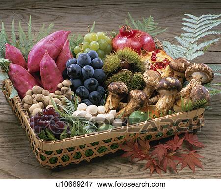 Autumn Material Set View Large Photo Image Stock Photo - Autumn Material Set. Fotosearch