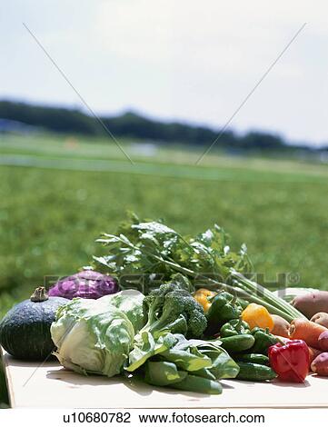 Stock Image - Vegetable Set. Fotosearch