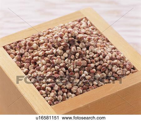 Millet View Large Photo Image Stock Image - Millet. Fotosearch