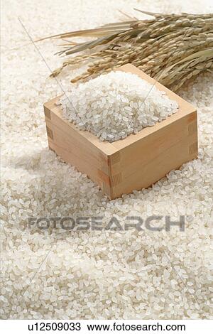 Rice View Large Photo Image Stock Image - Rice. Fotosearch