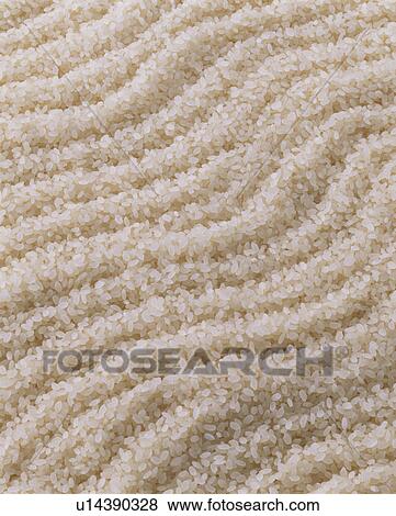 Stock Photo - Rice. Fotosearch