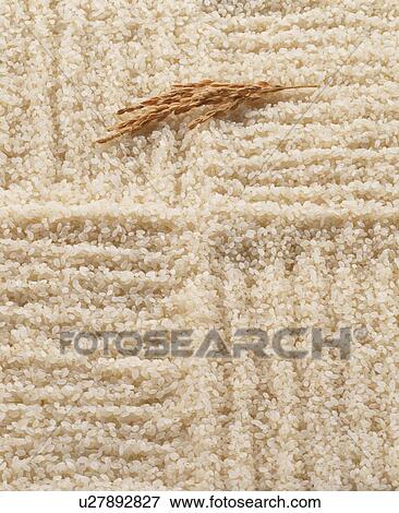 Stock Photo - Rice. Fotosearch