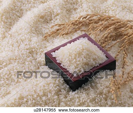 Rice View Large Photo Image Stock Photography - Rice. Fotosearch
