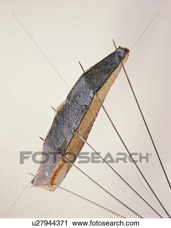 Chopped Raw Bonito View Large Photo Image Stock Image - Chopped Raw Bonito. Fotosearch