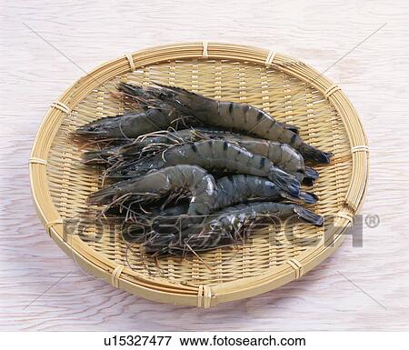Black Tiger View Large Photo Image Stock Photo - Black Tiger. Fotosearch