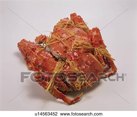King Crab View Large Photo Image Stock Image - King Crab. Fotosearch
