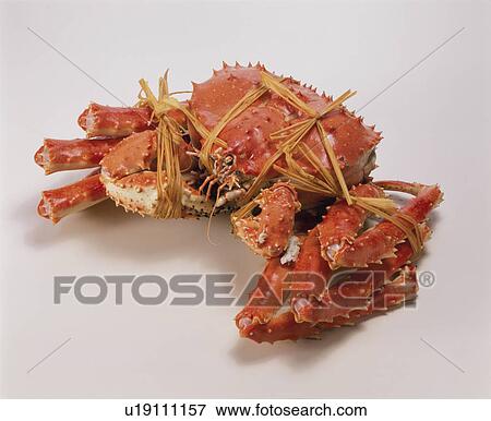 King Crab View Large Photo Image Stock Photo - King Crab. Fotosearch