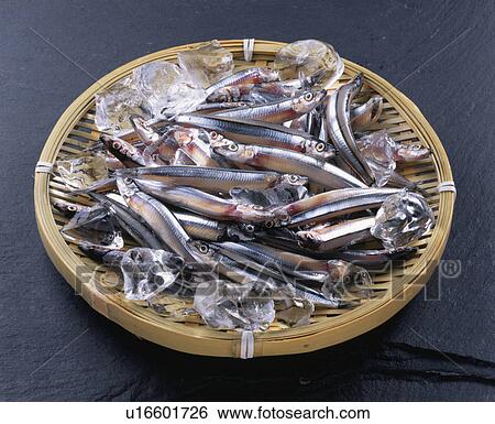 Pond Herring View Large Photo Image Stock Photograph - Pond Herring. Fotosearch