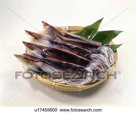Squid View Large Photo Image Stock Image - Squid. Fotosearch
