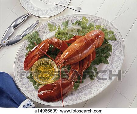 American Lobster View Large Photo Image Stock Photo - American Lobster. Fotosearch