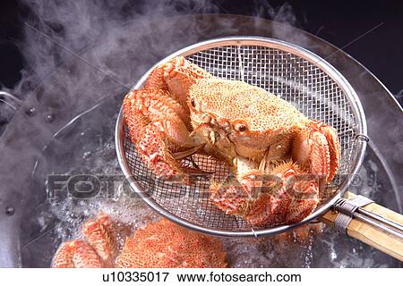 Hairy Crab View Large Photo Image Stock Photo - Hairy Crab. Fotosearch