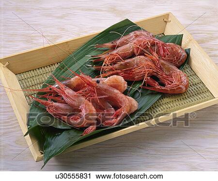 Stock Image - Small Shrimp, Striped Shrimp. Fotosearch