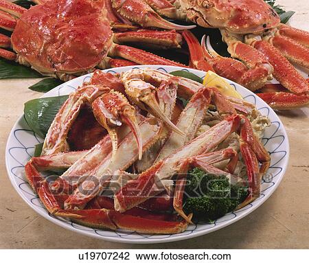 Snow Crab View Large Photo Image Stock Image - Snow Crab. Fotosearch