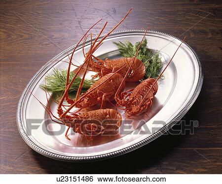 Spiny Lobster, Plate, View Large Photo Image Stock Photograph - Spiny Lobster, Plate,. Fotosearch