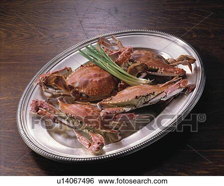 Swimming Crab View Large Photo Image Stock Photograph - Swimming Crab. Fotosearch